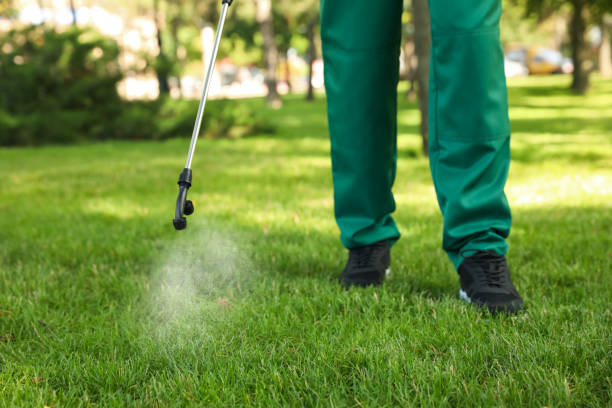 Best Exterminator Services  in Twin Falls, ID