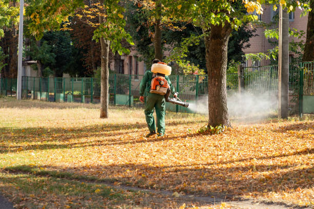 Best Cockroach Control Services  in Twin Falls, ID