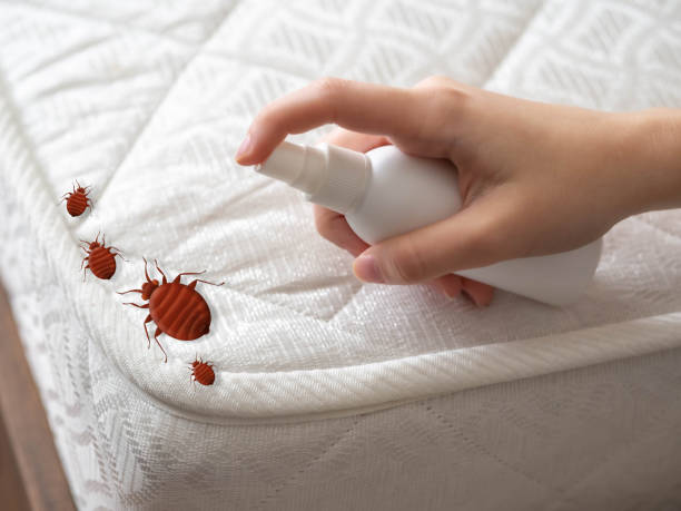 Best Residential Pest Control  in Twin Falls, ID