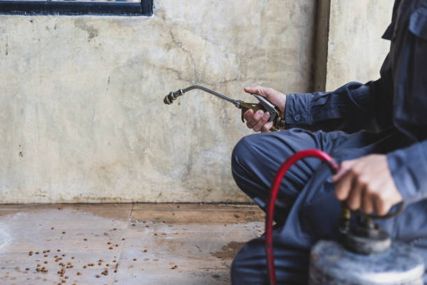 Best Flea Control Services  in Twin Falls, ID